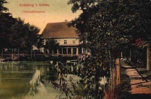 Zielona Góra Grunberg -Reprodukcja 1632