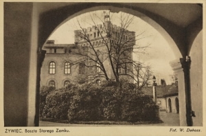 Żywiec Baszta zamku - Reprodukcja 5163