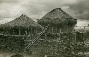 Polesie stogi siana -Reprodukcja 2283