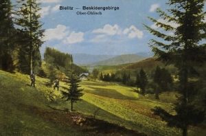 Bielsko Biała - Reprodukcja 165