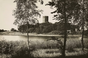 Kruszwica Mysia wieża - Reprodukcja 3841