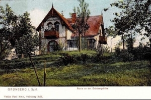 Zielona Góra Grunberg - Reprodukcja 1164