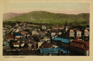 Bielsko Biała Panorama - Reprodukcja 189