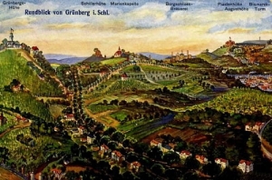 Zielona Góra Panorama - Reprodukcja 1176