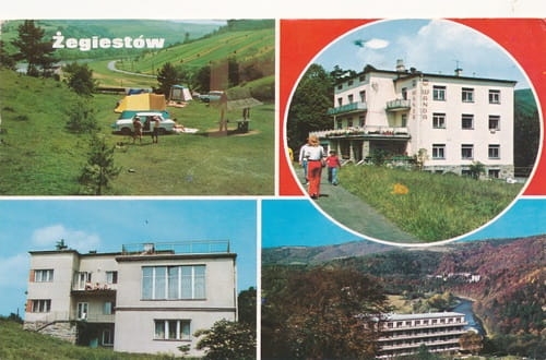 7279616653