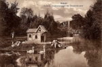 Gniezno Park - Reprodukcja 1222