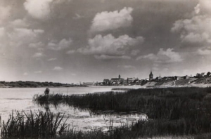 Malbork Panorama - Reprodukcja 4298