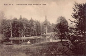 Pszczyna Park - Reprodukcja 15536