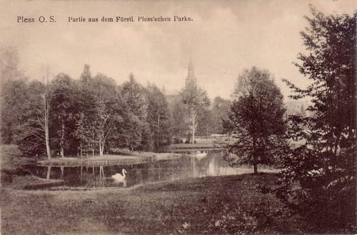 nowe-15536.jpg