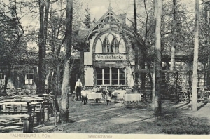 Złocieniec Waldschanke - Reprodukcja 16099