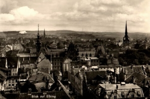 Elbląg Panorama - Reprodukcja 1602