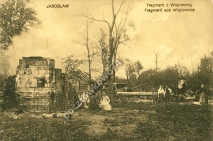 Jarosław Wiązownica - Reprodukcja 3763