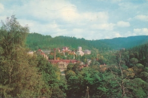 Krynica  01567