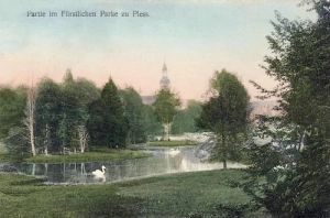 Pszczyna park - Reprodukcja 15533
