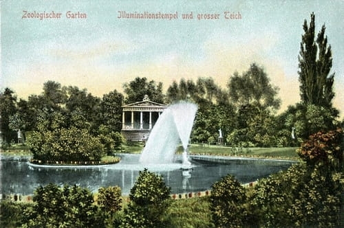 nowe-15292.jpg