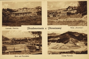 Piwniczna widokowa - Reprodukcja 4917