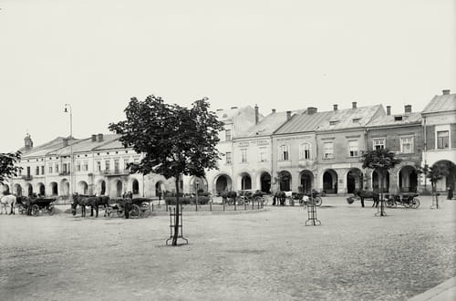 nowe-15927.jpg