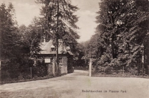 Pszczyna Park - Reprodukcja 15537