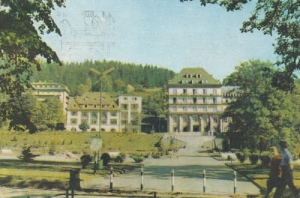 Krynica 01282