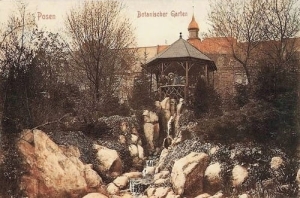 Poznań Park Wilsona - Reprodukcja 5426