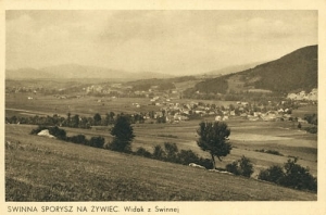 Żywiec Panorama - Reprodukcja 5141