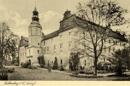 nowe-16168.jpg