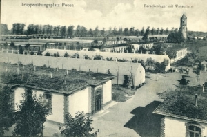 Biedrusko Poznań -Reprodukcja 133