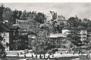Krynica  01939