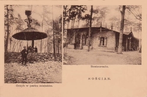 Kościan widokowa - Reprodukcja 622