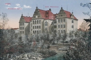 Poznań ul.Berwinskiego szkoła -Reprodukcja 15305