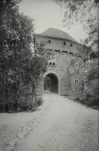 Grodziec Zamek - Reprodukcja 15802