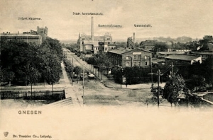 Gniezno Panorama - Reprodukcja 1241