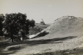 7395546093