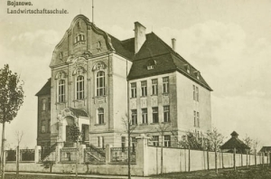 Bojanowo - Reprodukcja 15648