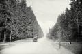nowe-15479.jpg