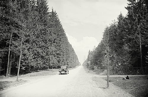 nowe-15479.jpg