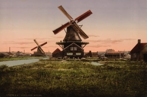 Wiatrak - Reprodukcja 5031