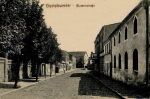 Biskupiec Pom. ul.Kwiatowa - Reprodukcja 1140