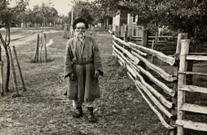 Duboja Poleszuk - Reprodukcja 2272