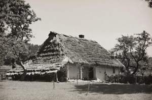 Bykowce koło Sanoka - Reprodukcja 1801