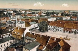 Pszczyna panorama - Reprodukcja 15529