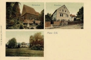 Pszczyna widokowa - Reprodukcja 15504