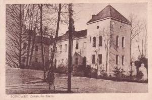 Sosnowiec Zamek - Reprodukcja 15410