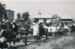 Sanok Targowica bydła - Reprodukcja 3922